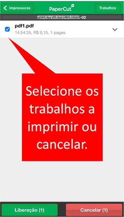manual_print_app5.png